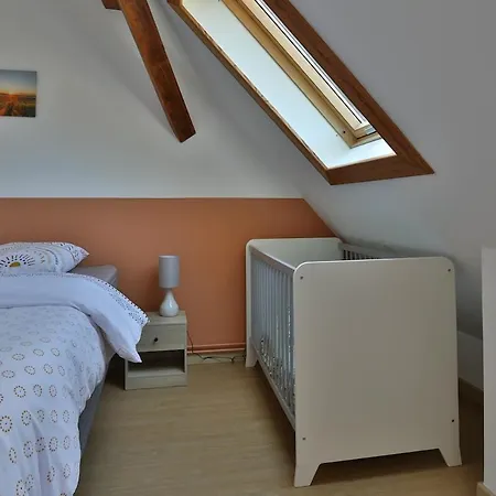 Le Cocon Des Vosges Lejlighed